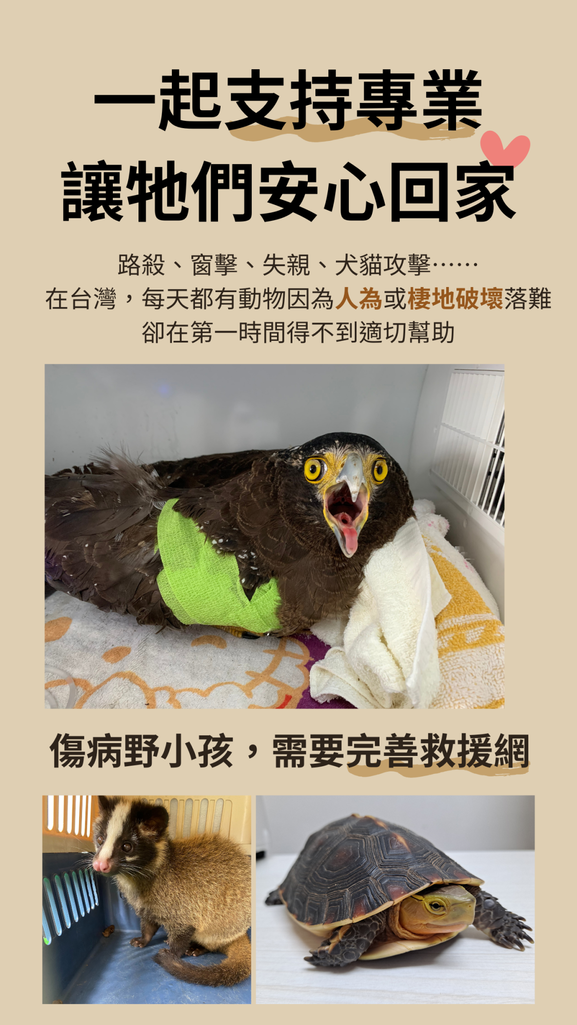 路殺、窗擊、失親、犬貓攻擊…… 在台灣，每天都有動物因為人為或棲地破壞落難 卻在第一時間得不到適切幫助