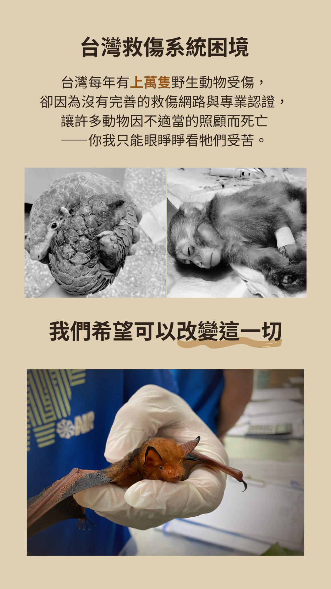 一起支持專業 讓牠們安心回家 路殺、窗擊、失親、犬貓攻擊…… 在台灣，每天都有動物因為人為或棲地破壞落難 卻在第一時間得不到適切幫助